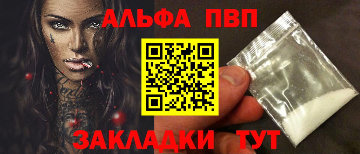 Курчалой  Alpha PVP крисы CK  A PVP СК КРИС  Вход с VPN 