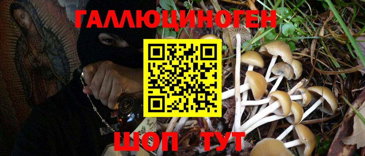 Псилоцибиновые грибы мицелий Курчалой
