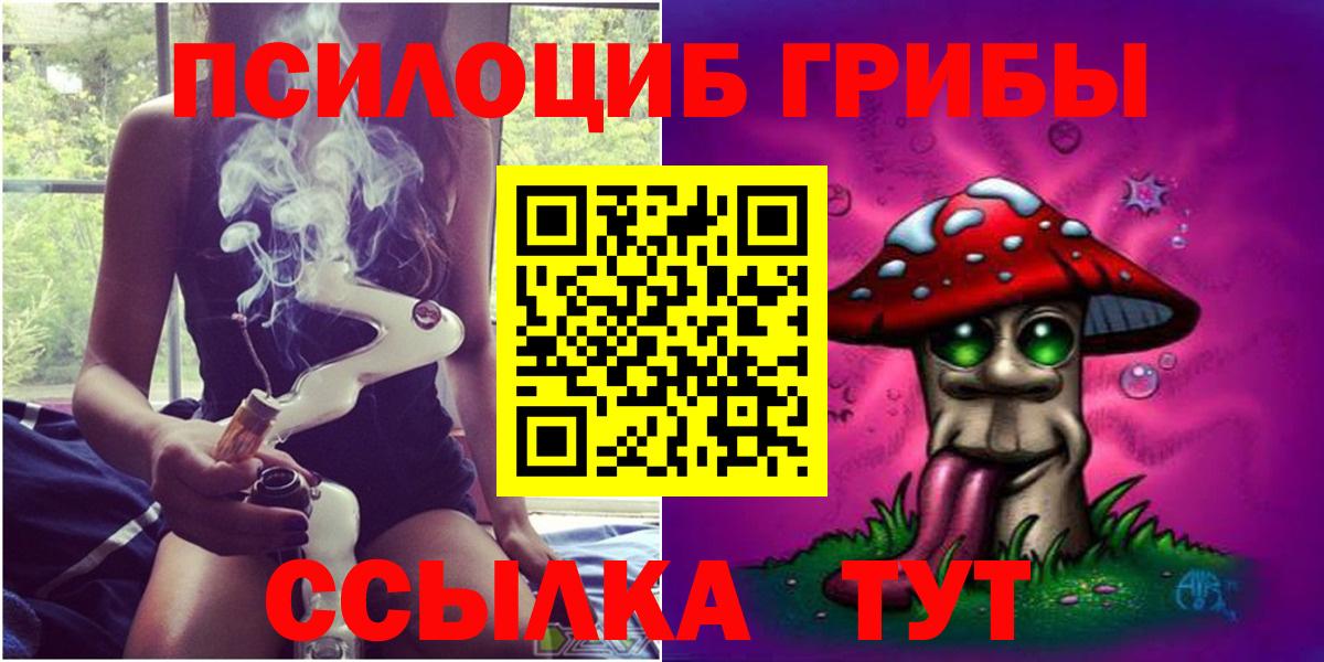 где купить наркоту  Галлюциногенные грибы Psilocybine cubensis  Вход с VPN  Курчалой 