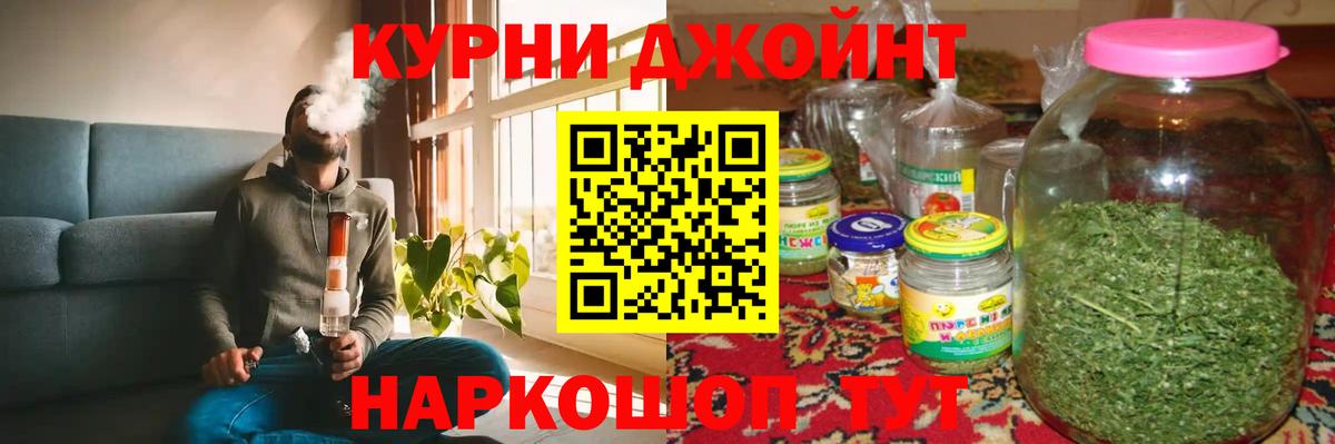 Каннабис план Курчалой